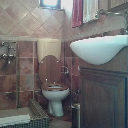 Katerina's *