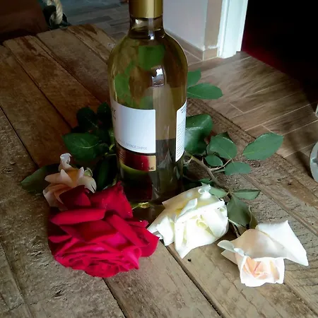 Katerina's Daire Kardamyli